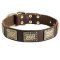 Leather Mastiff Collar with Massive Brass Plates