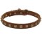 Handcrafted 1 Row Square Studded Leather Mastiff Collar