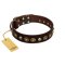 "Street Fashion" FDT Artisan Brown Leather Mastiff Collar Adorned with Circles and Skulls