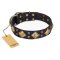 "Fancy-Schmancy" FDT Artisan Studded Leather Mastiff Collar