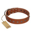 "Daintiness" Designer Handmade FDT Artisan Tan Leather Mastiff Collar with Silver-Like Adornments