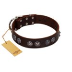 "King Arthur" FDT Artisan Brown Leather Mastiff Collar with Spiky Plates