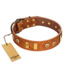 "Egyptian Script" FDT Artisan Tan Leather Mastiff Collar with Plates and Small Studs