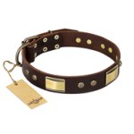 "Rich Fashion" FDT Artisan Decorated Leather Mastiff Collar with Plates and Studs
