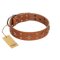 "Dreamy Gleam" FDT Artisan Tan Leather Mastiff Collar Adorned with Stars and Squares