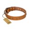 "Autumn Story" FDT Artisan Leather Mastiff Collar with Old Bronze Look Studs