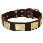 Handcrafted Leather Mastiff Collar With Vintage Massive Plates