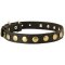 Leather Mastiff Collar with Brass Circles for Fashionable Walking
