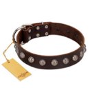 "Lucky Silver" Designer Handmade FDT Artisan Brown Leather Mastiff Collar