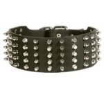 Mastiff Leather Collar Spiked and Studded