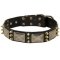 Mastiff Spiked Leather Collar with Nickel Plates