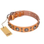 "Extra Sparkle" FDT Artisan Handcrafted Tan Leather Mastiff Collar