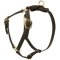 Y-Shaped Leather Mastiff Harness for Tracking and Training