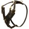 Padded Leather Mastiff Harness for Agitation Training