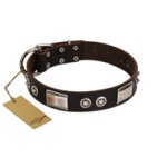 "Baller Status" FDT Artisan Brown Leather Mastiff Collar Adorned with a Set of Chrome Plated Studs and Plates
