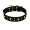 "Heavy Metal" Leather Mastiff Collar with Skulls and Studs 1 1/2 inch (40 mm)