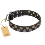 "Romantic Breeze" FDT Artisan Black Leather Mastiff Collar with Sparkling Circles