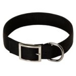 2 Ply Nylon Mastiff Collar