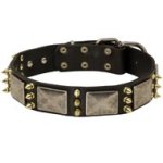 Mastiff Spiked Leather Collar with Nickel Plates
