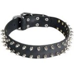 Leather Mastiff Collar with 2 Rows of Nickel Spikes