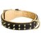 Royal Leather Mastiff Collar Spiked Padded with Nappa Leather