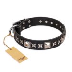 "Space Walk" FDT Artisan Black Leather Mastiff Collar with Adornments