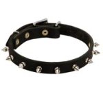 Mastiff Leather Collar Spiked 3/4 Inch