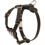 Studded Leather Mastiff Puppy Harness