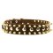 Spiked and Studded Mastiff Leather Collar