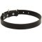 Mastiff Leather Dog Collar 1 inch Wide