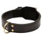 Training 2 Ply Leather Mastiff Collar