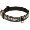All Weather Nylon Mastiff Collar with ID Patches