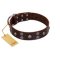 "Skull Valley" Handcrafted FDT Artisan Brown Leather Mastiff Collar with Skulls