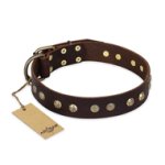 "Bronze Sheen" FDT Artisan Leather Mastiff Collar with Brass-Plated Studs
