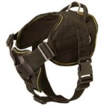 Nylon Mastiff Harness for Pulling Tracking Training