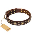 "Flower Melody" FDT Artisan Brown Leather Mastiff Collar with Mixed Studs