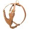 Brass Spiked Leather Mastiff Harness for Fashion Walking