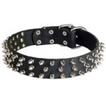 Leather Mastiff Collar with 3 Rows of Nickel Spikes