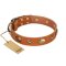 "Visual Magic" FDT Artisan Tan Leather Mastiff Collar for Daily Activities