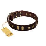 "Choco Delight" FDT Artisan Brown Leather Mastiff Collar with Old Bronze-like Plates and Studs