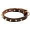 Walking Designer Leather Mastiff Collar with Brass Spikes