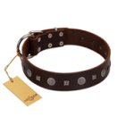 "Pure Sensation" Exclusive FDT Artisan Brown Leather Mastiff Collar with Fancy Brooches and Studs