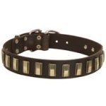 Leather Mastiff Collar with Awesome Brass Plates
