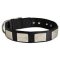 Nylon Mastiff Collar Massive Nickel Plates