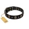 Pirate's Spell' FDT Artisan Black Leather Mastiff Collar with Engraved Studs and Medallions