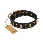 "Medieval Style" FDT Artisan Leather Mastiff Collar with Brass Plated Plates and Spikes