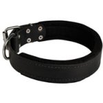 Mastiff Durable Padded Leather Collar 40 mm