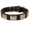 Leather Mastiff Collar with Large Nickel Plates