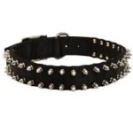 Mastiff Nylon Collar Spiked