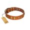 "Sand of Time" FDT Artisan Tan Leather Mastiff Collar with Old Bronze-like Studs and Plates